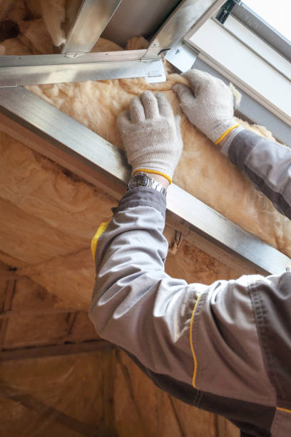 Best Insulation Maintenance and Repair in Morrow, OH